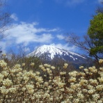山の草木に息吹を与える風