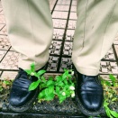 土砂降り本降り朝から雨降り