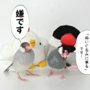 物慣れ研修を受けさせられるジルたん