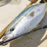 『強烈な走りをいなす！TRS-66MHの底力』の画像