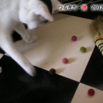 裏つるきち
