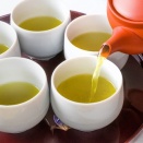 「こうやって陽射（ひざ）しが出るとほんとうに