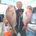 マダイ釣り