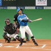 昨日の日ハム今川優馬のプロ初ホームラン確信歩きｗｗｗｗｗｗｗｗ