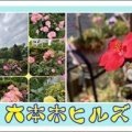六本木ヒルズ