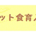 ワンコごはんのレシピ連載が始まりました♪