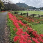 すみだ山の会