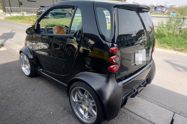 MCCスマート　ブラバス用エンジンコンピューター　No.9 MCCスマート ブラバス用エンジンコンピューター No.9 覧下さり誠に