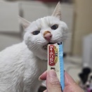 明日は運命の日