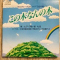 この木何の木気になる木…🎵