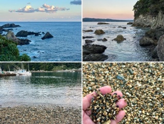 僕が砂利底床を好むもう一つの理由