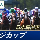 日本馬獲得賞金ランキング（AI回答）