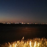 『12月10日(日)、本日のグラウンド利用について』の画像