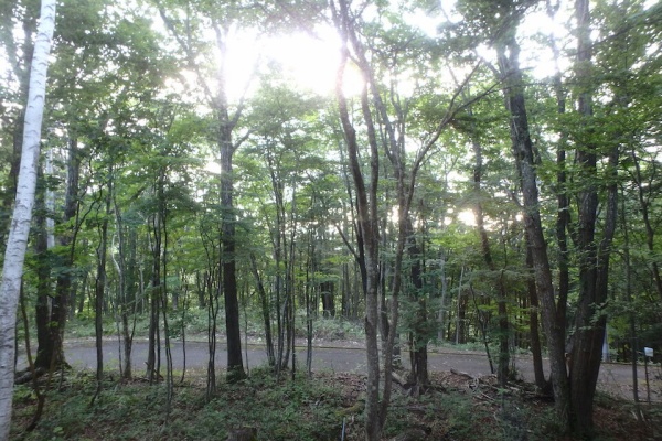 山遊び 川遊び ２ 21年07月