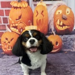 グランパ 写真館