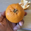 20日目　2025年3月24日（月）曇り時々雨