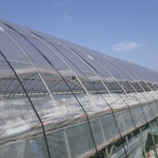 章姫イチゴと有機JAS朝日米　MERRY BERRY