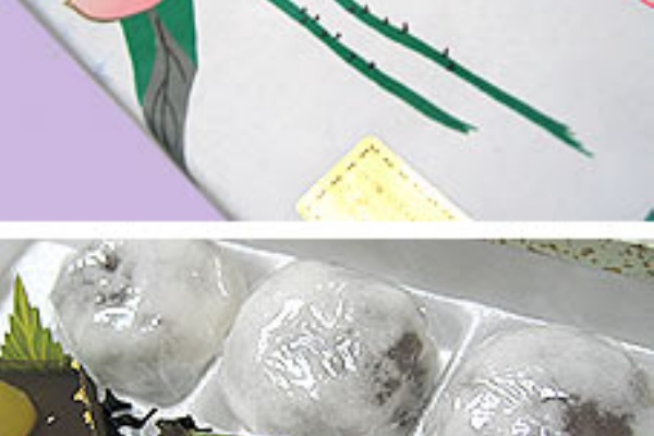 ボシログ 黒柴ぼしろーの生きざま日記 葬式まんじゅう