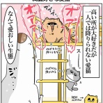 まむの巣