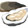 先週生牡蠣36個食って無事飽きた