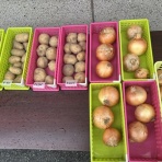 未来農園のblog