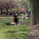 イラン情勢は五里霧中。NY株急落も!?