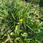 たんけんのきろく