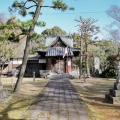 松井神社と臥龍梅