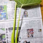 blog：自然と四季を楽しむ
