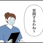 ホリー絵日記
