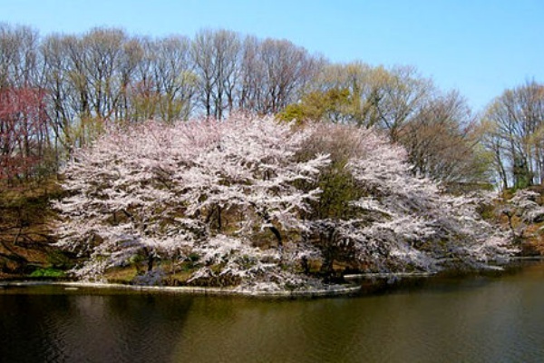 新入生オリエンテーション開催のご案内 日本工学院八王子専門学校 新入生 在校生のみなさまへ