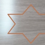 『タカラキッチンの棘と花、光と影。』の画像