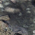 Fallout 76：水面の寒天化現象について
