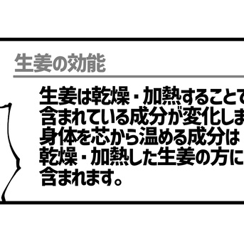 第1269話「生姜に含まれている成分の変化」