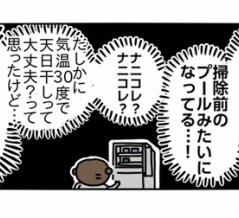 大事に育てたドライトマト、まさかの腐海に沈む②