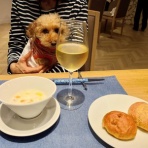 人生谷あり底あり