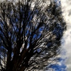 ＝佐藤太の監督雑記＝