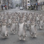 うさぎ団 @ 日本語教師 のブログ