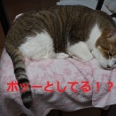 一見