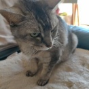 頭から～お尻から～