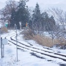 昼休みに鉄分補給　雪の只見線　姿見えず