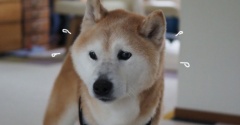 スポーツクラブデビュ〜♪