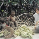 NHKで『 アボカド 』みたいな名前の部族の特集。北センチネル島みたいな部族。