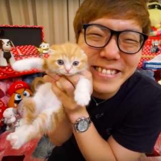 『ヒカキンの猫が稼ぎ出す金VSおまえらの年収 	』の画像