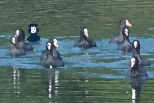 ふじたかなすびページ② 富士鷹なすびのブログ