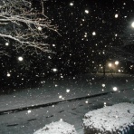 調布　布多天骨董てんこもり　（公式オフィシャル）