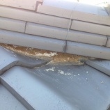 『漆喰塗りは手間がかかるんですね。』の画像