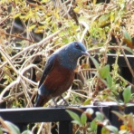 enkaizannomoriのblog