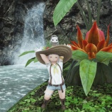 『FF14 無人島で畑の横の小さな滝のある小川で遊びましたヾ(〃^∇^)ﾉ　レベル１　開拓ランク１０』の画像