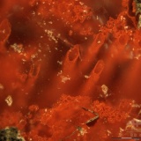 【地球で最初の生命か】地球最古の化石発見、約40億年前の生命の痕跡